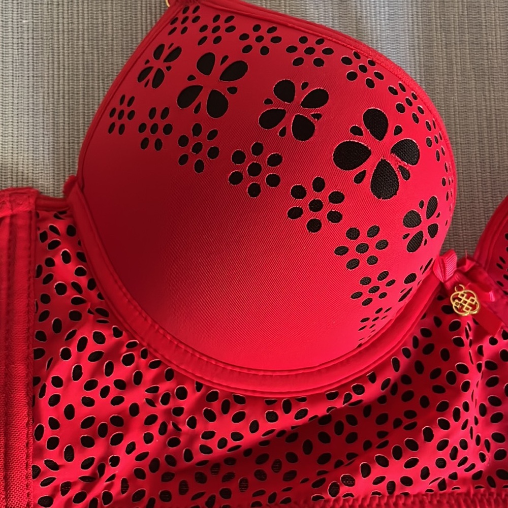 Red Bra - Picture 3 of 7